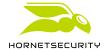 Logo der Firma Hornetsecurity GmbH